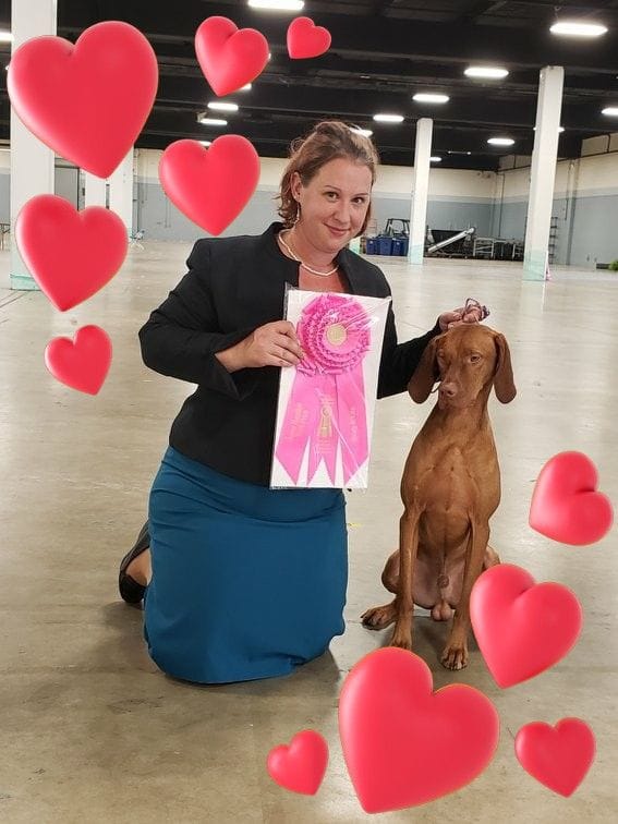 Paddy takes an Owner Handler Group First!