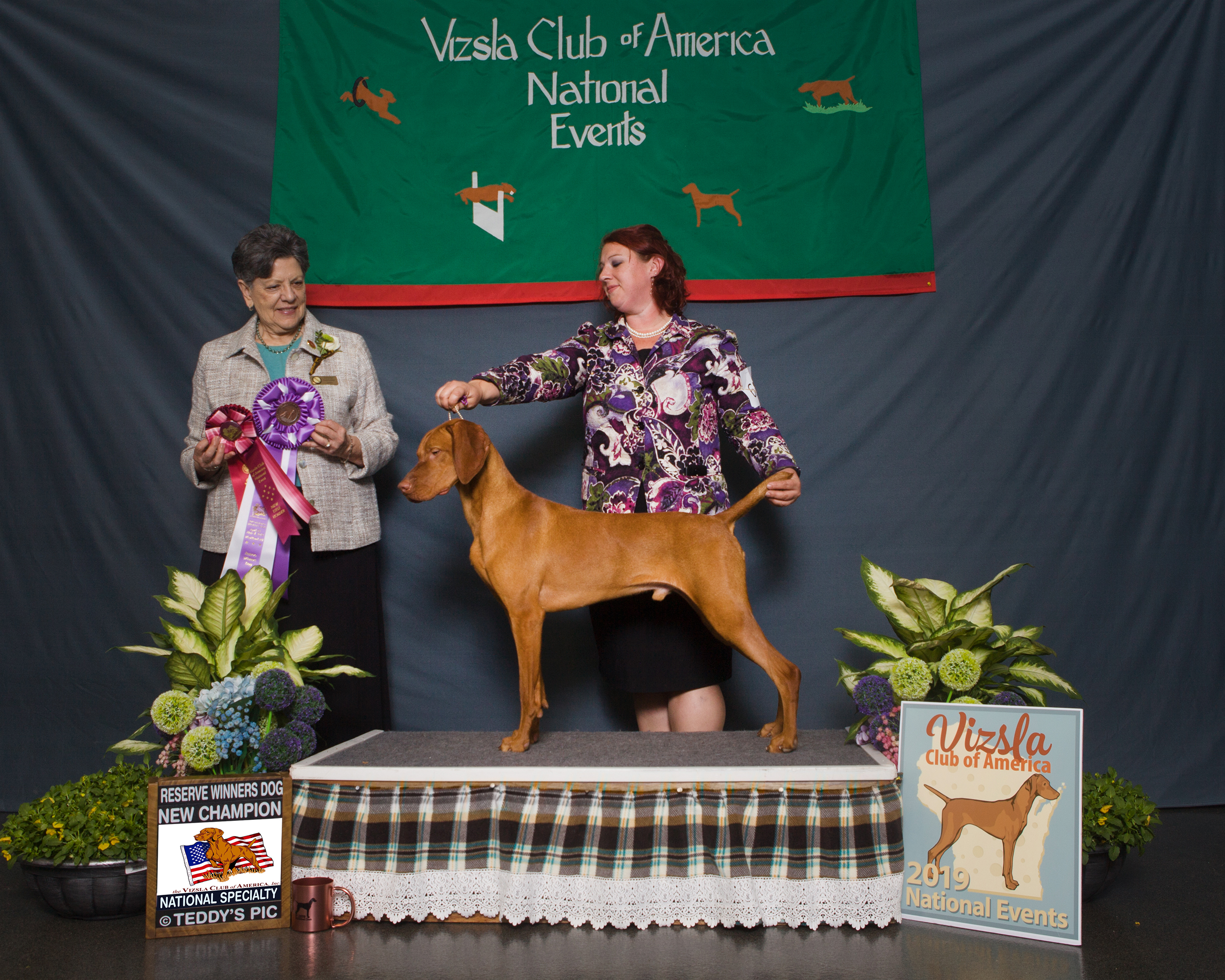 Paddy's Win Picture at the VCA National Specialty Event.