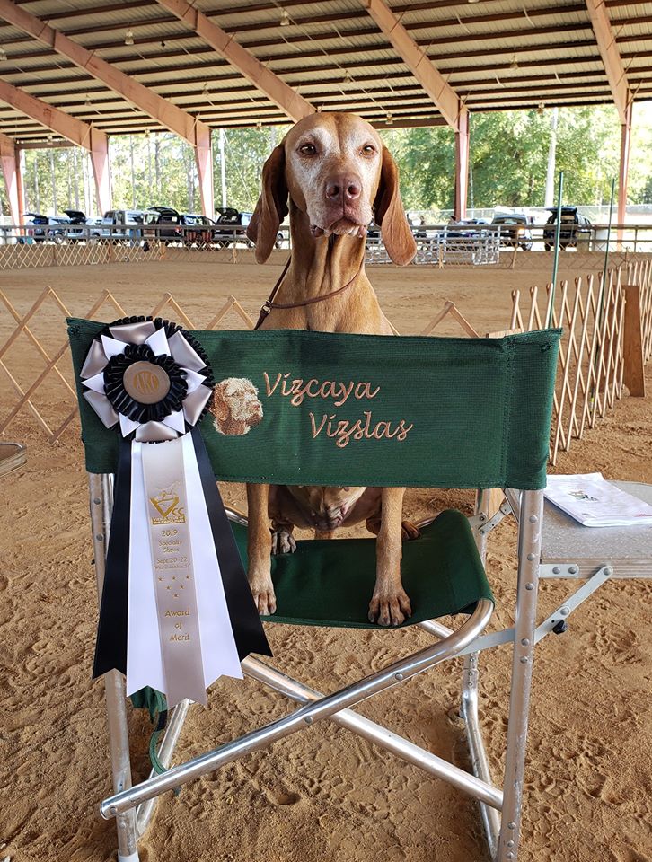 Rendi wins an AOM under Linda Clark.